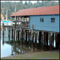 Gig Harbor Cruise