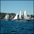 Seattle to Port Townsend Cruise