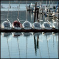 Seattle - Poulsbo Cruise