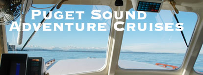 Puget Sound Adventure Cruises
